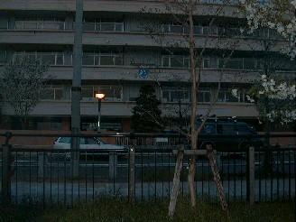 02DAIBACHUU.JPG - 15
999BYTES
