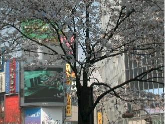 051HMV.JPG - 31
068BYTES