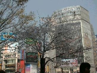 05SHIBUYA-MONITOR.JPG