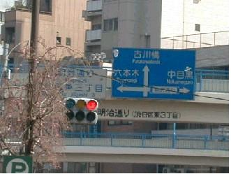 121SHIBUYAEAST3.JPG - 16
954BYTES