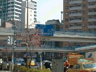 123SHIBUYAEAST3WIDE.JPG - 22
534BYTES